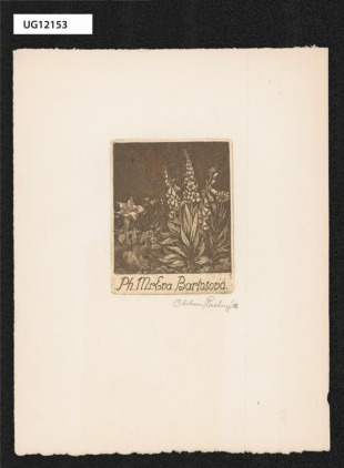 Ph. Mr. Eva Bartošová