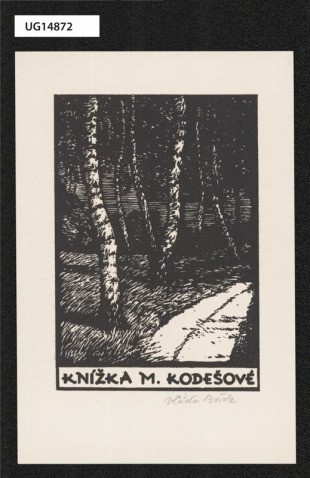 Knížka M. Kodešové