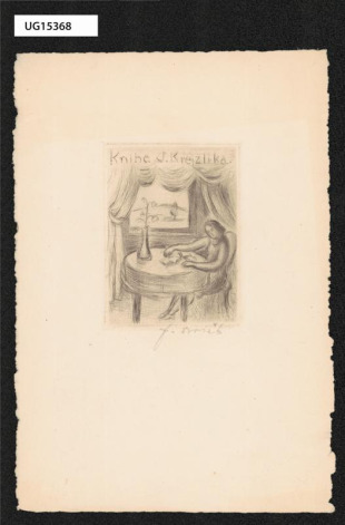 Kniha J. Krejzlika
