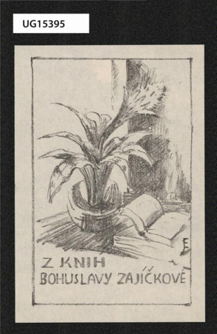 Z knih Bohuslavy Zajíčkové