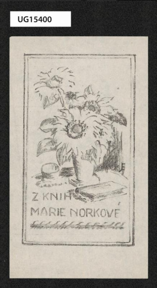 Z knih Marie Norkové
