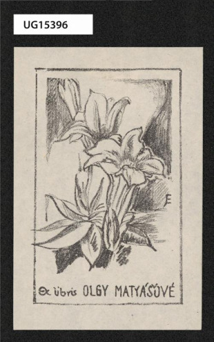 Ex libris Olgy Matyášové