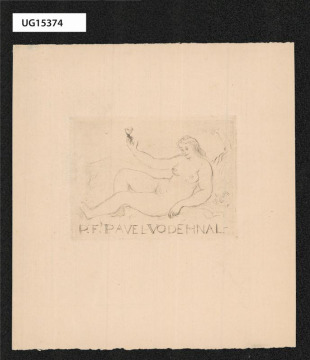 P. F. Pavel Vodehnal