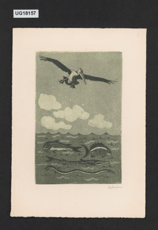 Pelikán a mořské ryby