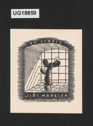 Ex libris Jiří Havelka