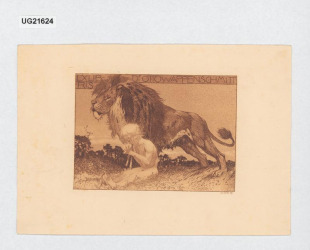 Exlibris Dr Otto Wappenschmitt