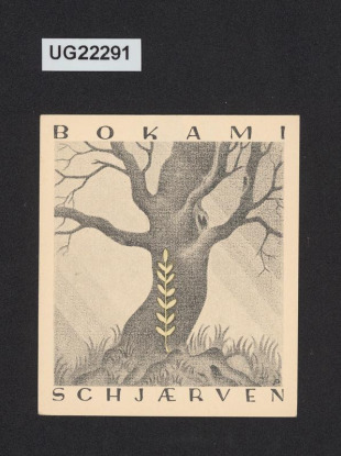 Bok ami Schjaerven