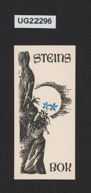 Steins Bok