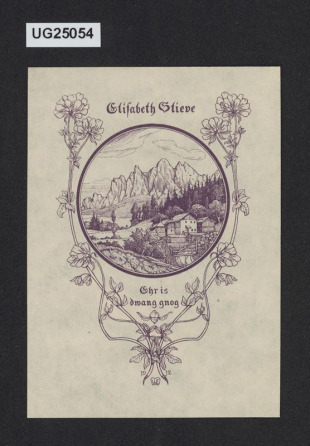 Elisabeth Stieve