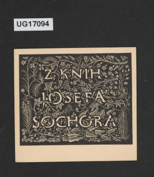 Z knih Josefa Sochora
