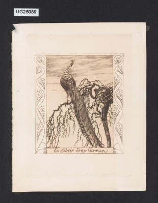 Ex libris Erny Carmen