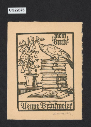 Mein Buch Aemie Brinkmeier