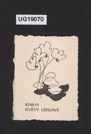 Knihy Květy Lédlové
