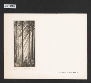P. F. 1955 JOSEF KLEIN