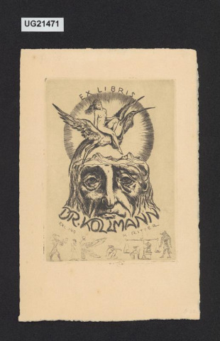 Exlibris Dr. Kollmann