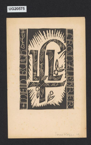 Mein Buch / Franz Lehrer