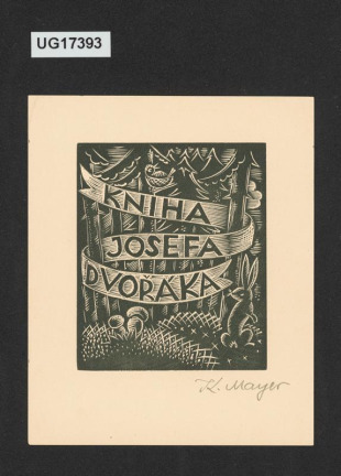 Kniha Josefa Dvořáka