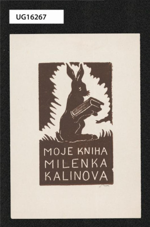 Moje kniha / Milenka Kalinová
