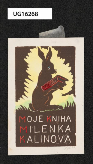 Moje kniha / Milenka Kalinová