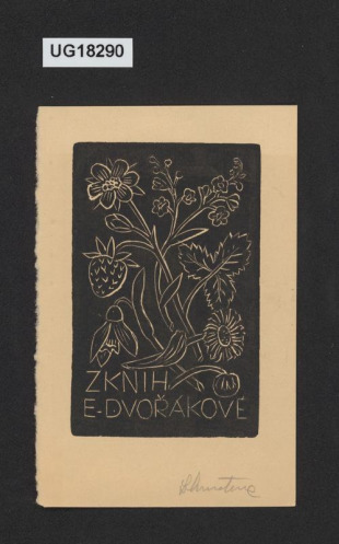 Z knih E. Dvořákové