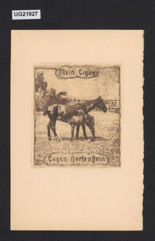 mein Eigen Eugen Hartenstein
