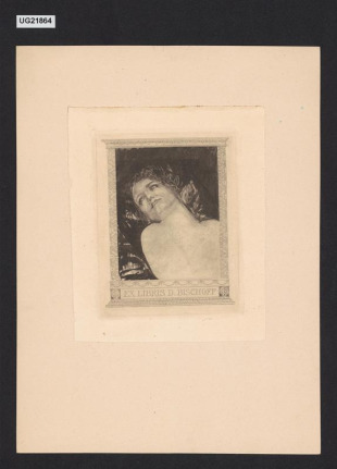 Ex libris D. Bischoff