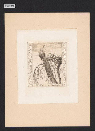Ex libris Erny Carmen