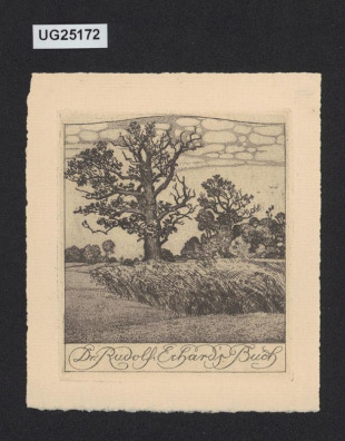 Dr. Rudolf Erhard's Buch