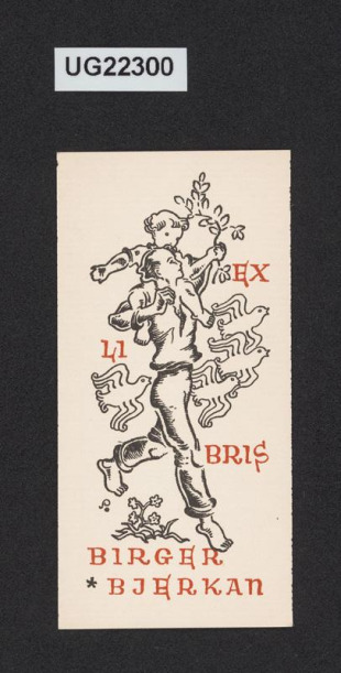 Ex libris Birgen Bjerkan
