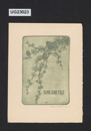 Alma Lore Pilz