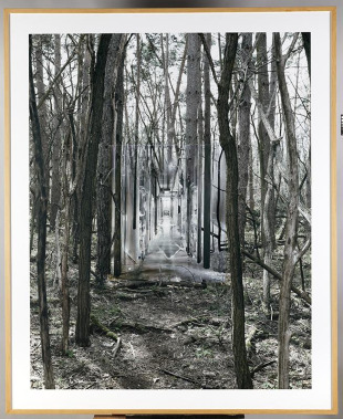 Vyvidenie (diptych)